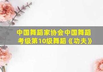 中国舞蹈家协会中国舞蹈考级第10级舞蹈《功夫》