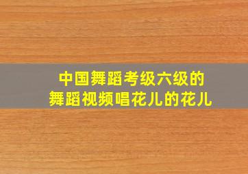 中国舞蹈考级六级的舞蹈视频唱花儿的花儿