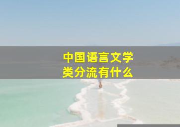 中国语言文学类分流有什么