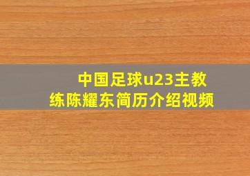 中国足球u23主教练陈耀东简历介绍视频