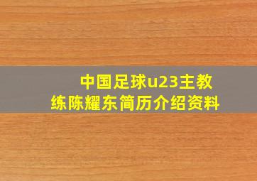 中国足球u23主教练陈耀东简历介绍资料