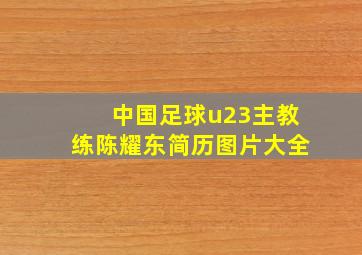 中国足球u23主教练陈耀东简历图片大全