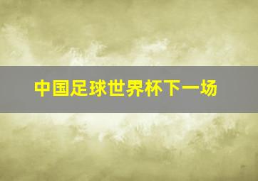 中国足球世界杯下一场