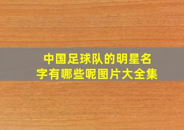 中国足球队的明星名字有哪些呢图片大全集