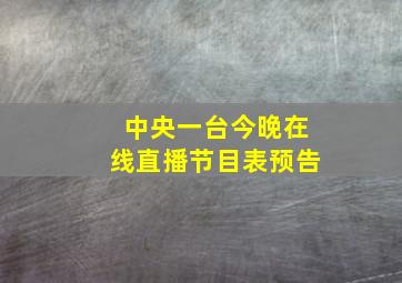 中央一台今晚在线直播节目表预告