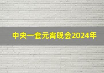 中央一套元宵晚会2024年