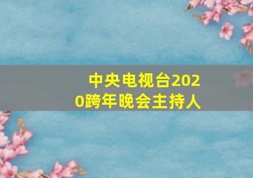 中央电视台2020跨年晚会主持人