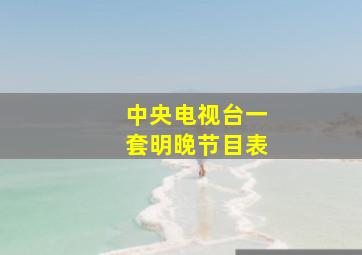 中央电视台一套明晚节目表