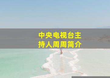 中央电视台主持人周周简介