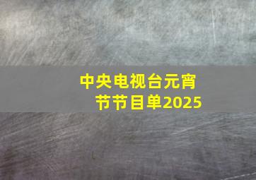 中央电视台元宵节节目单2025