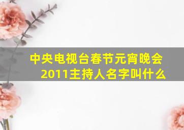 中央电视台春节元宵晚会2011主持人名字叫什么