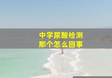 中学尿酸检测那个怎么回事