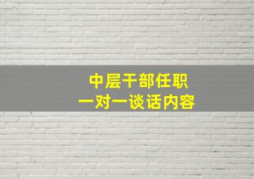 中层干部任职一对一谈话内容