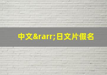 中文→日文片假名