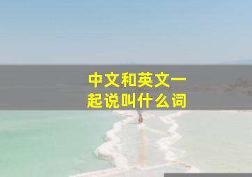 中文和英文一起说叫什么词