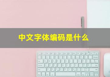 中文字体编码是什么