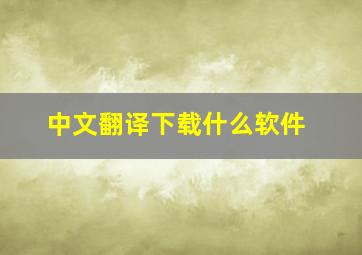 中文翻译下载什么软件