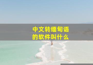 中文转缅甸语的软件叫什么