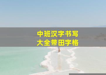 中班汉字书写大全带田字格