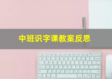 中班识字课教案反思