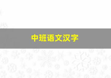 中班语文汉字