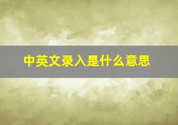 中英文录入是什么意思