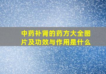 中药补肾的药方大全图片及功效与作用是什么