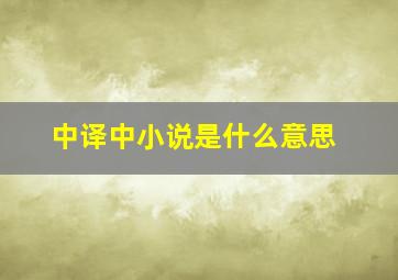 中译中小说是什么意思