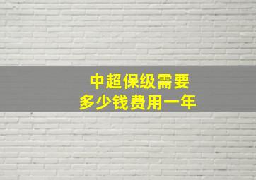 中超保级需要多少钱费用一年