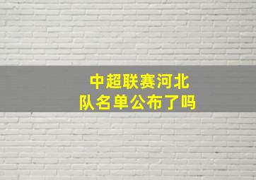 中超联赛河北队名单公布了吗