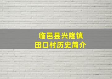 临邑县兴隆镇田口村历史简介