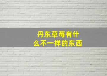 丹东草莓有什么不一样的东西