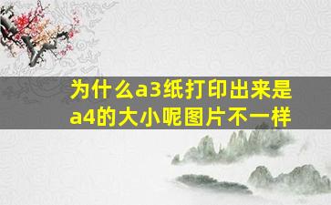 为什么a3纸打印出来是a4的大小呢图片不一样