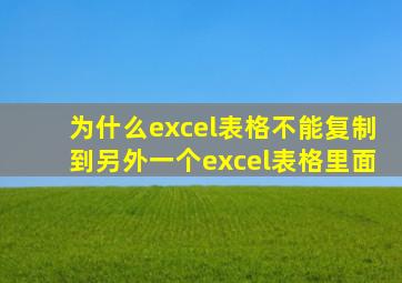 为什么excel表格不能复制到另外一个excel表格里面