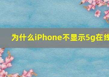 为什么iPhone不显示5g在线