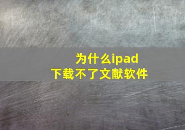 为什么ipad下载不了文献软件