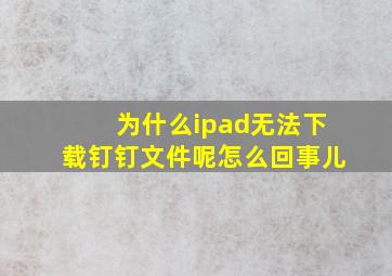 为什么ipad无法下载钉钉文件呢怎么回事儿