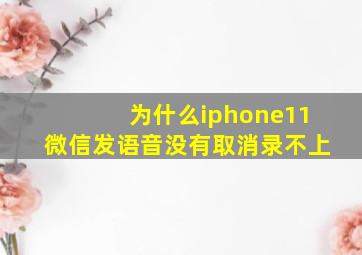 为什么iphone11微信发语音没有取消录不上