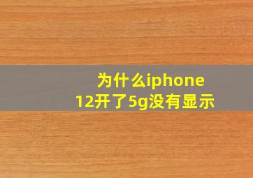 为什么iphone12开了5g没有显示