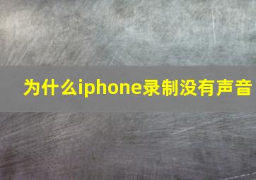 为什么iphone录制没有声音