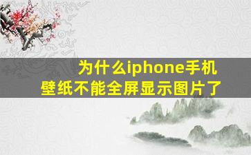 为什么iphone手机壁纸不能全屏显示图片了