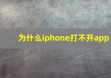 为什么iphone打不开app