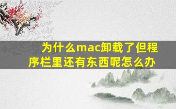 为什么mac卸载了但程序栏里还有东西呢怎么办