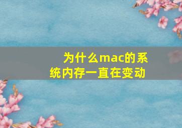 为什么mac的系统内存一直在变动