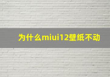 为什么miui12壁纸不动