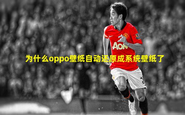 为什么oppo壁纸自动还原成系统壁纸了