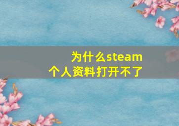 为什么steam个人资料打开不了