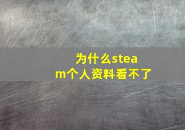 为什么steam个人资料看不了