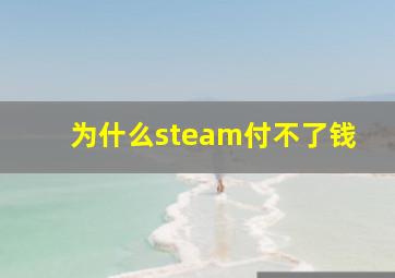 为什么steam付不了钱