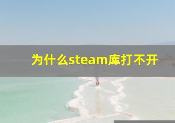 为什么steam库打不开